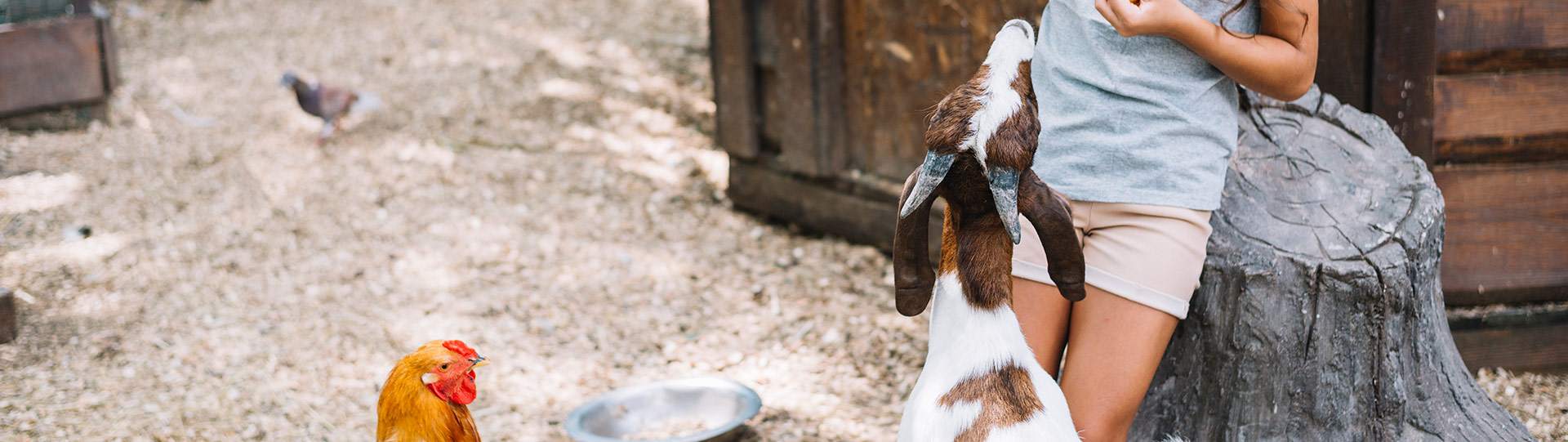 Services de notre camping